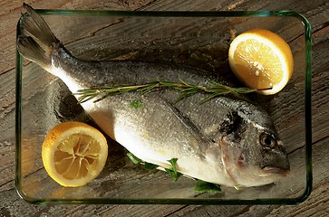 Image showing Ready to Roast Fresh Sea Bream Fish