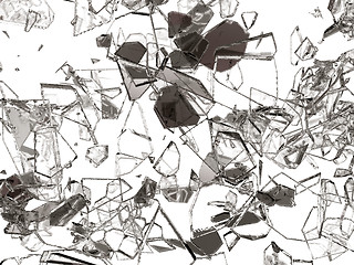 Image showing Pieces of broken or cracked glass on white