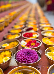 Image showing Buddhist flower offerings or gifts in bowls and rows