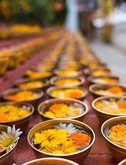 Image showing Buddhist flower offerings or gifts in bowls and rows