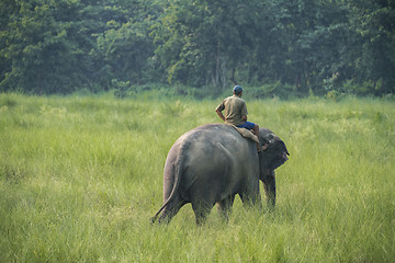 Image showing Mahout or elephant rider riding a female elephant