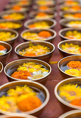 Image showing Buddhist flower offerings or gifts in bowls and rows