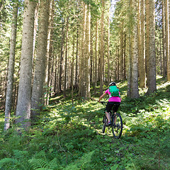 Image showing Active sporty woman riding mountain bike on forest trail .