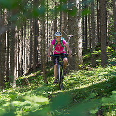 Image showing Active sporty woman riding mountain bike on forest trail .