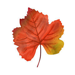 Image showing Hand drawn watercolor leaf isolated on white background, digital