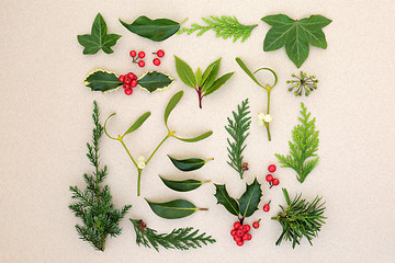 Image showing Natural Winter Leaves and Holly Berries