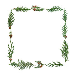 Image showing Cedar Cypress Abstract Frame