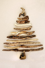 Image showing Abstract Driftwood Tree