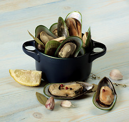 Image showing Boiled Green Mussels