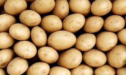 Image showing Background of White Potato