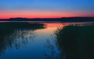 Image showing Night Lake With Reeds After Sunset