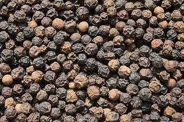 Image showing Black pepper