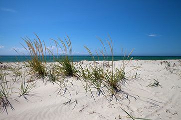 Image showing Blue sky, sea and sand on deserted beach
