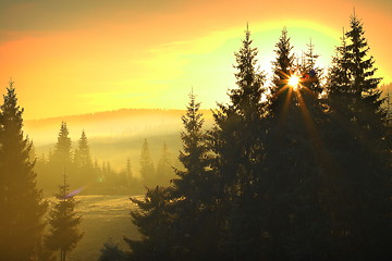 Image showing sunrise over mountain forest