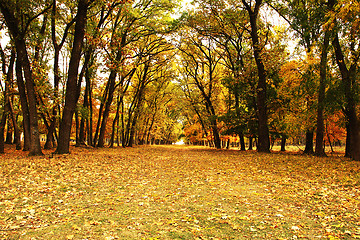 Image showing beautiful pedestrian path in autumn woods