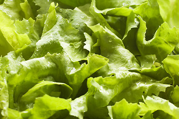 Image showing salad