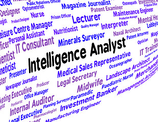 Image showing Intelligence Analyst Indicates Intellectual Capacity And Ability