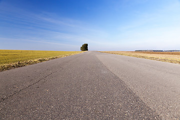 Image showing rural road, tree