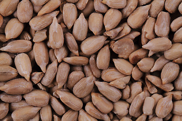 Image showing sunflower seeds texture