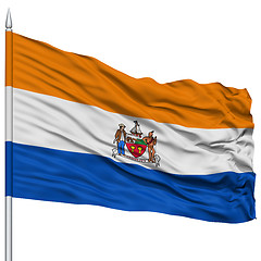 Image showing Albany Flag on Flagpole, Waving on White Background