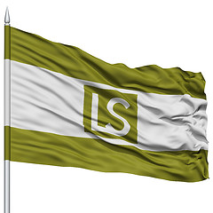 Image showing Lees Summit City Flag on Flagpole, USA