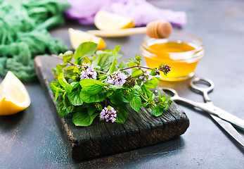 Image showing fresh mint