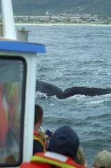 Image showing Tourists watching on boat a southern right whale