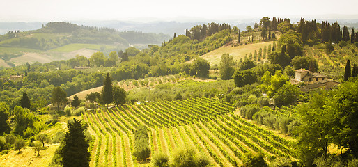 Image showing Toscana landscape