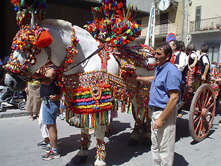 Image showing Folklore horse carriage Sicily
