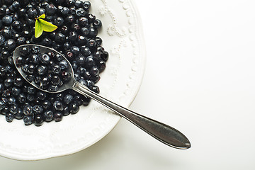 Image showing Blueberry