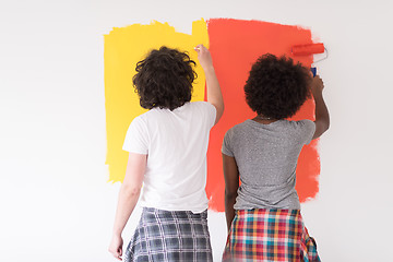 Image showing multiethnic couple painting interior wall