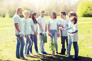 Image showing group of volunteers planting tree in park