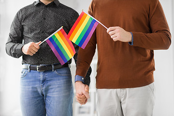 Image showing male couple with gay pride flags holding hands