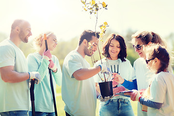 Image showing group of volunteers planting trees in park