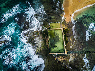 Image showing Morning laps at Mona Vale rock pool