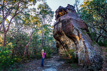 Image showing Bushwalker exploring national park wilderness