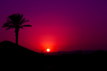 Image showing Pink Andalusian sunset