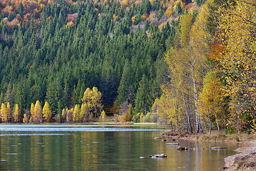 Image showing Autumn with the yellow foliage in Lake Saint Ann