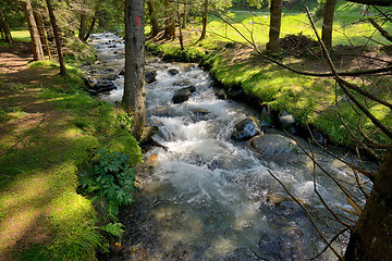 Image showing The mountain river in the forest