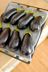 Image showing Eggplants prepare for roasted in oven tray