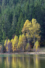 Image showing Autumn with the yellow foliage in Lake Saint Ann