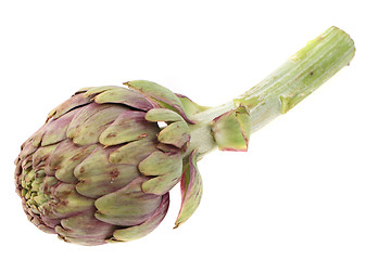 Image showing fresh artichoke isolated