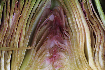 Image showing fresh artichoke texture