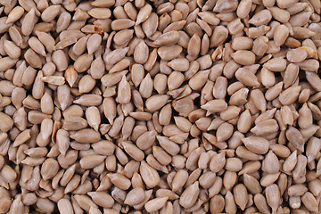 Image showing sunflower seeds texture