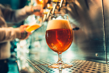 Image showing Hand of bartender pouring a large lager beer in tap.