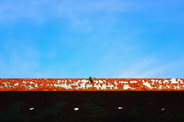 Image showing Wasp Sits On A Rusty Metal Texture Against The Sky