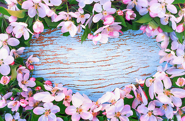 Image showing  Apple Blossoms Around The Heart Shaped Blue Wooden Background