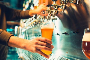 Image showing Hand of bartender pouring a large lager beer in tap.