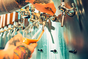 Image showing Hand of bartender pouring a large lager beer in tap.