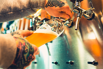 Image showing Hand of bartender pouring a large lager beer in tap.